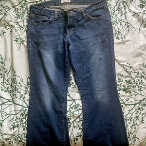 American eagle jeans size 12 petite stretch fit.